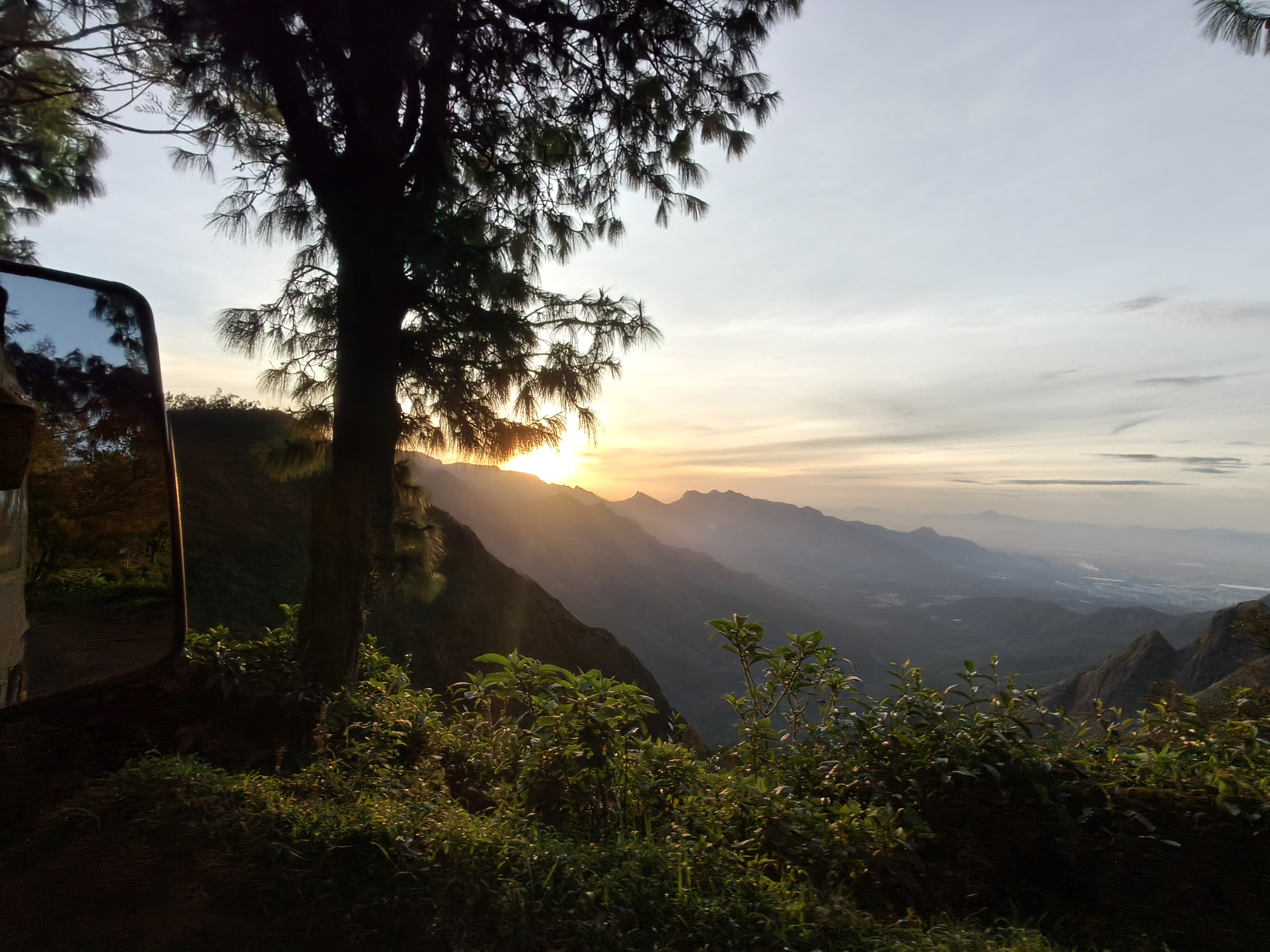 Kolukkumalai sunrise over misty mountains with tree and tea plants in foreground